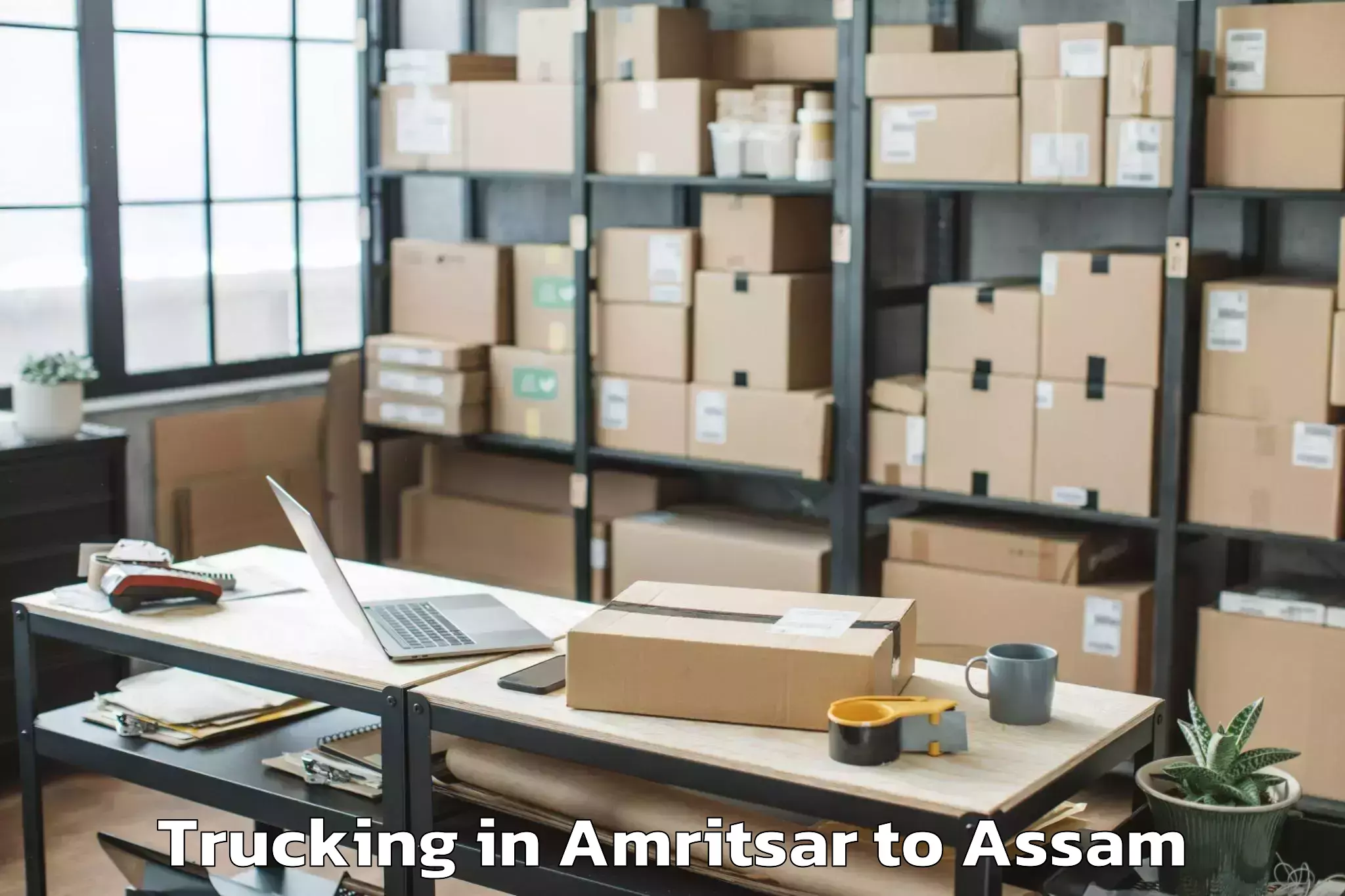 Book Amritsar to Bajali Trucking